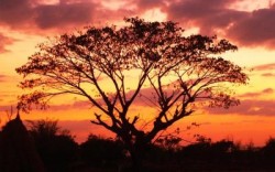 每年存12000到个人养老金，退休后每月能领多少？