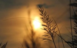 定期寿险和重疾险哪个更重要？看完这篇，投保不踩坑