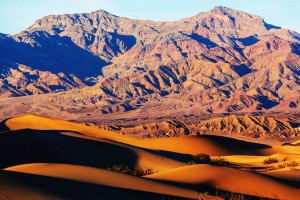 2021年失业保险金领取条件及标准是什么？可以领几个月？